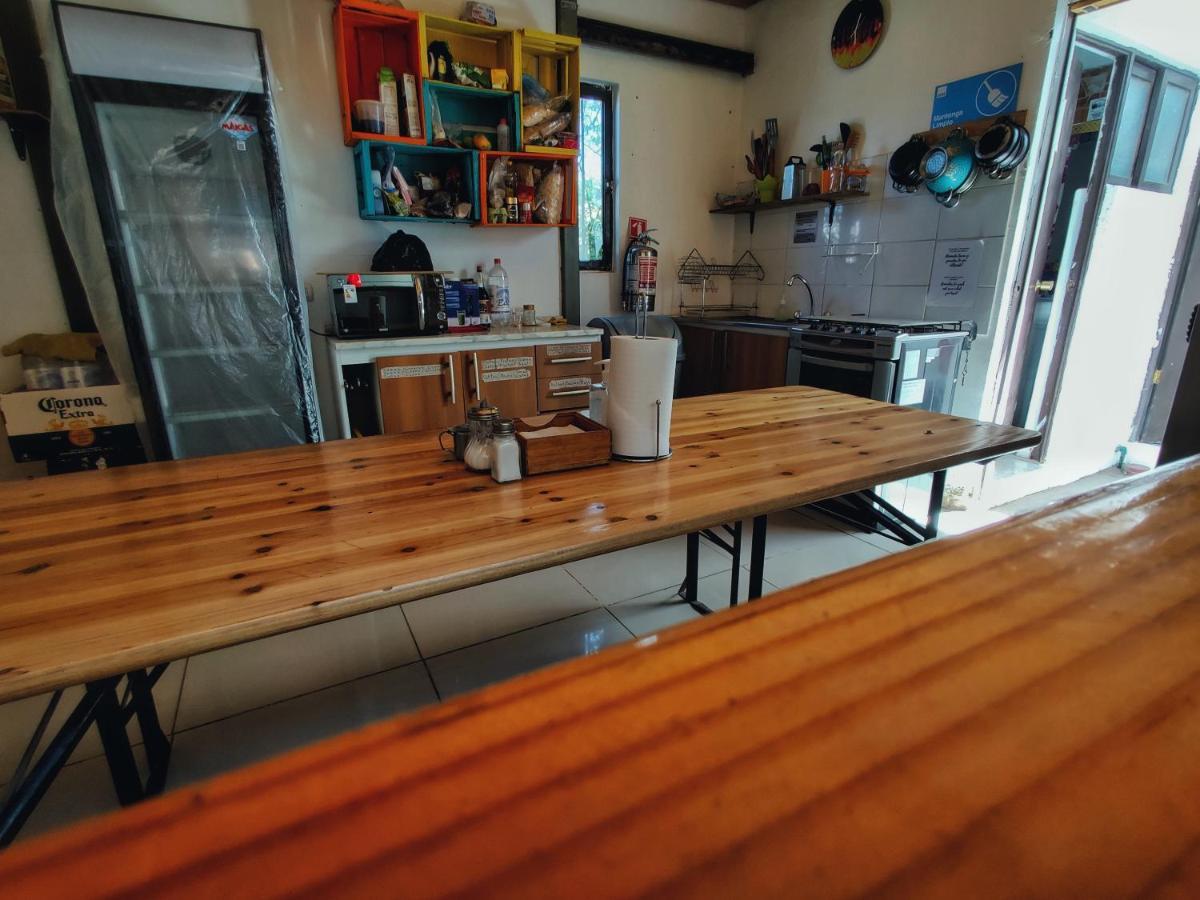 Rey Lagarto Hostel San Pedro De Atacama Extérieur photo