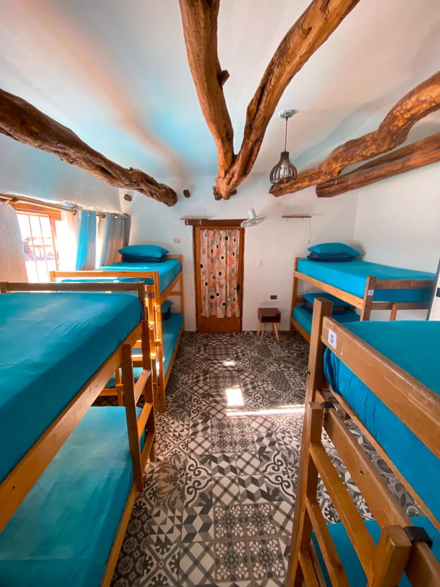 Rey Lagarto Hostel San Pedro De Atacama Extérieur photo